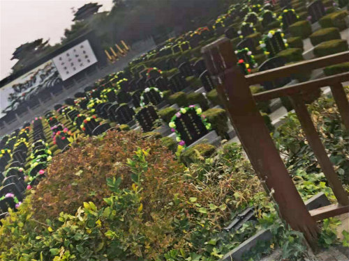 洛阳盘龙冢陵园墓区图