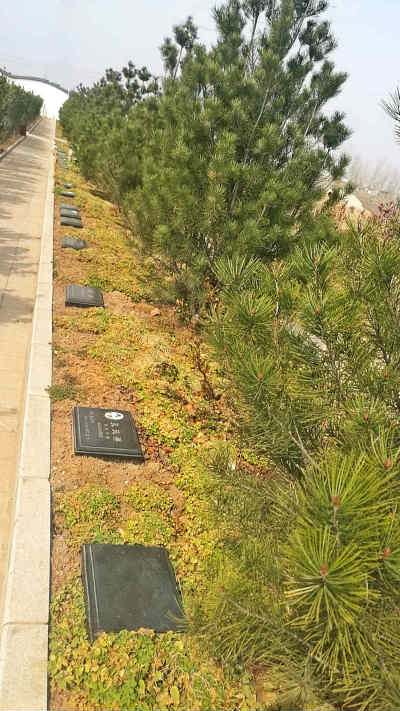 洛阳低价墓地集萃-天寿园生态树葬