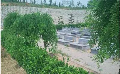 洛阳大唐森林陵园墓区