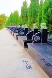 文章附图