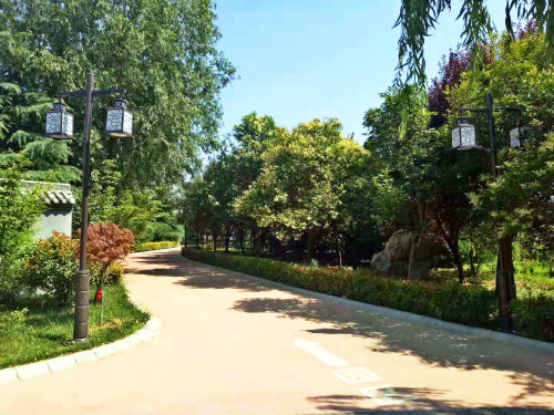 洛阳盘龙冢陵园林荫大道.jpg