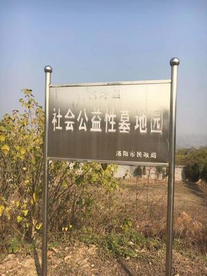 洛阳宝山陵园公益墓区
