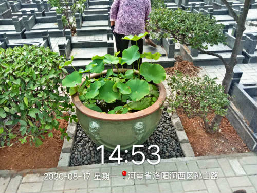 大唐卧龙谷佛教主题墓园景观