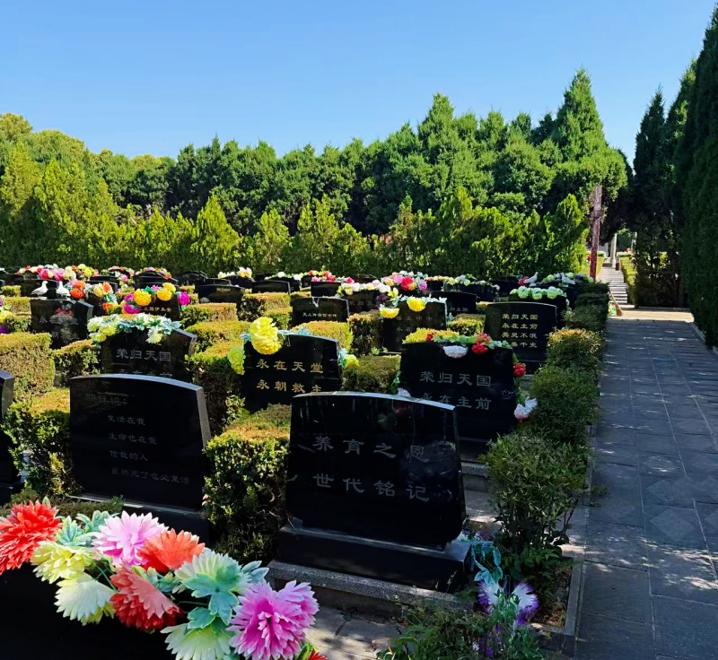 微信图片_20260719160359_50_1355.jpg