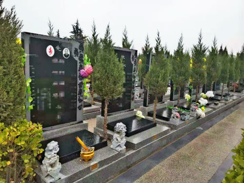 邙山公墓精品双穴墓价格