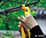 文章附图