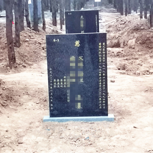 偃师北邙公益陵园迁坟墓型超低价