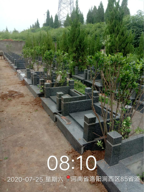 洛阳大唐卧龙谷墓区改造中