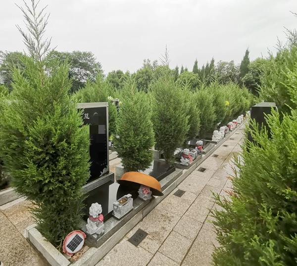 邙山公墓祥安园经济墓型