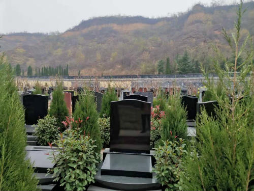微信图片_20191130203144.jpg