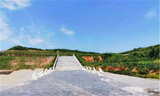 文章附图