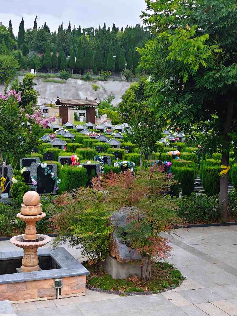 微信图片_20260725112621_368_646.jpg