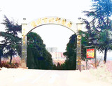 文章附图