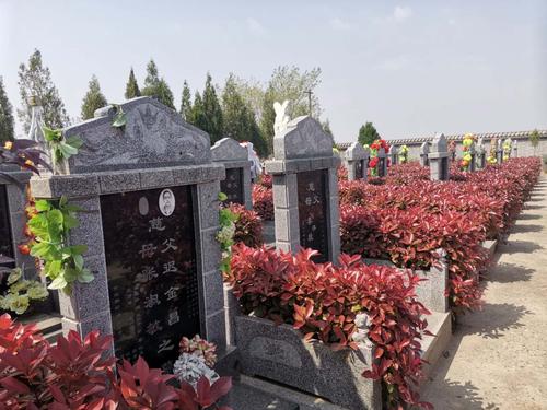 洛阳宝山陵园经济适用墓区金龙福凤
