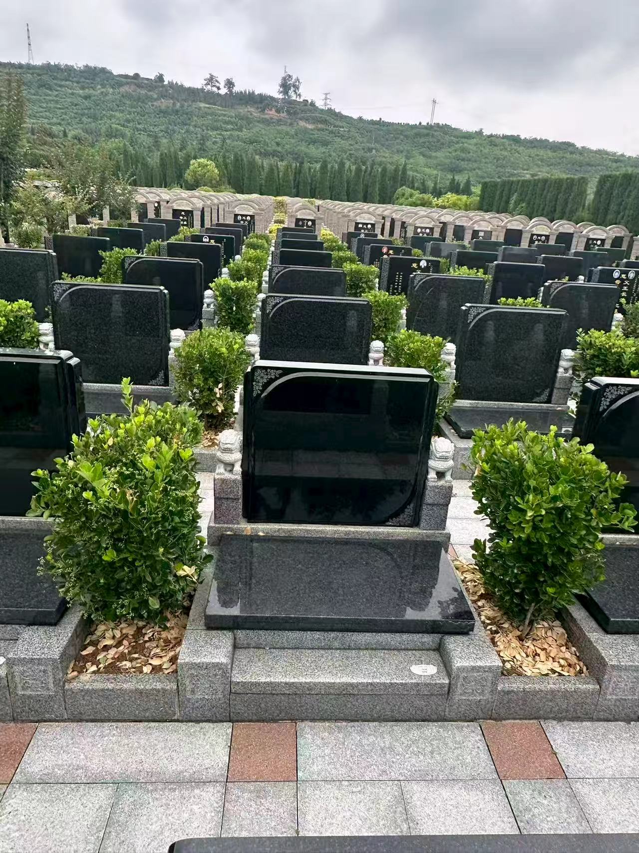微信图片_20260901102247_222_2005.jpg