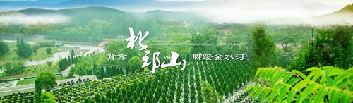 360截图-29696256.jpg