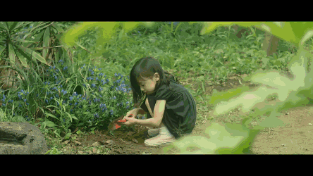 挖野菜.gif