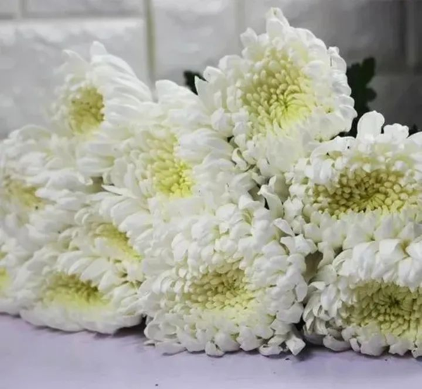 中元节代祭