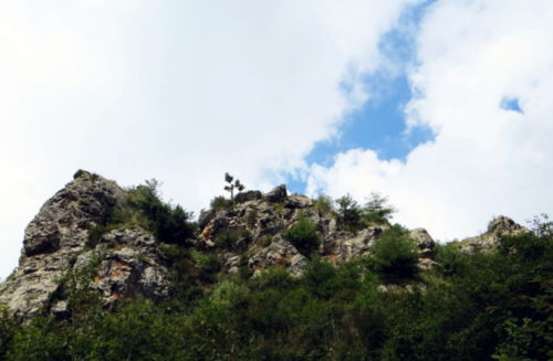 首阳山没人首见**缕阳光