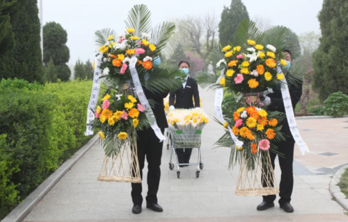 洛阳市云祭扫上线