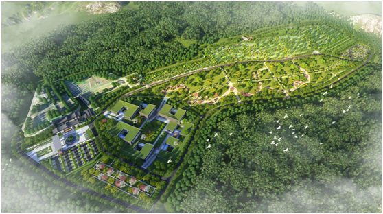 2020年全新的洛阳大唐森林陵园闪亮登场！
