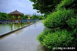 文章附图