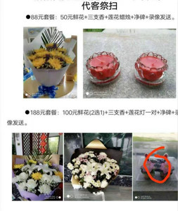 洛阳仙鹤陵园代客祭扫1