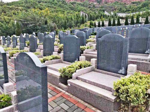 洛阳首阳古园墓型