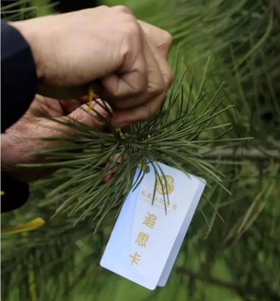 洛阳凤凰山纪念园树葬追思卡