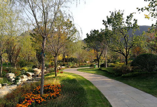 灵山福寿园优美环境8