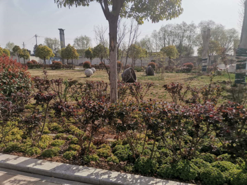 洛阳天寿陵园环境